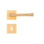 CE -8-